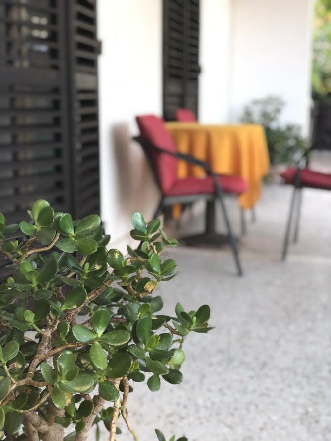 Guest House Plima 2 Budva Exterior photo
